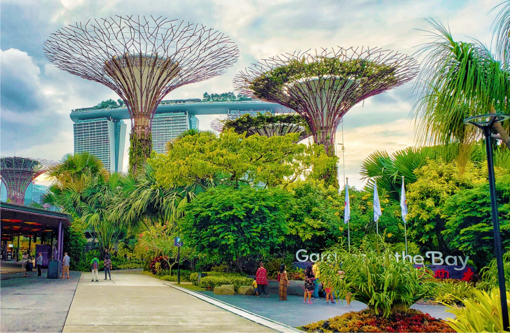 Garden by the bay